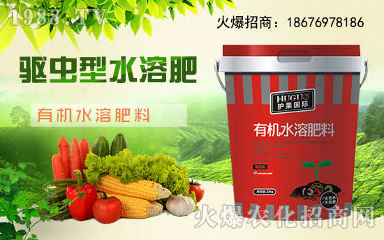 ���o(h��)����(gu��)�H��ȫ�w�T��ף�V���r(n��ng)�Y���т�����(ji��)������Ҹ����M��