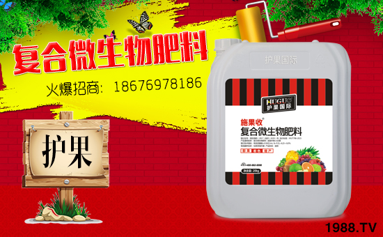 ���o(h��)����(gu��)�H��ȫ�w�T��ף�V���r(n��ng)�Y���т�����(ji��)������Ҹ����M��