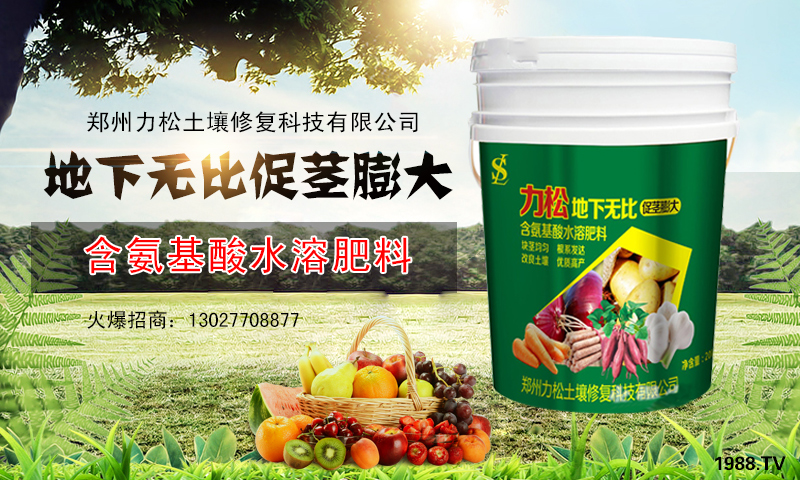 ���������ɡ�ף������µ�һ�������w�������f(w��n)��������