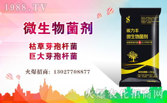 ���������ɡ�ף������µ�һ�������w�������f(w��n)��������