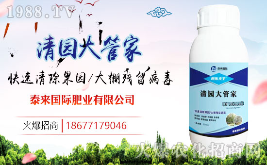 ��̩��(l��i)��(gu��)�H��ף������µ�һ����ؔ(c��i)�\(y��n)�L�L�������d����