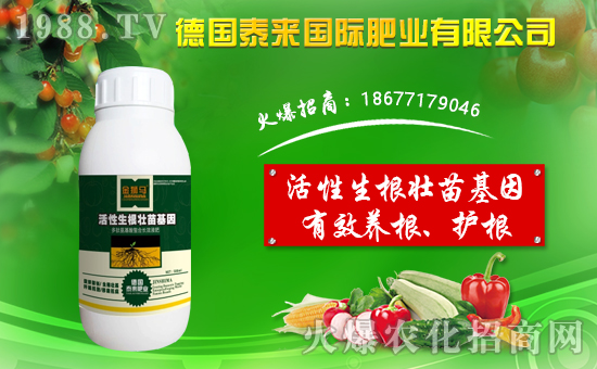 ��̩��(l��i)��(gu��)�H��ף������µ�һ����ؔ(c��i)�\(y��n)�L�L�������d����