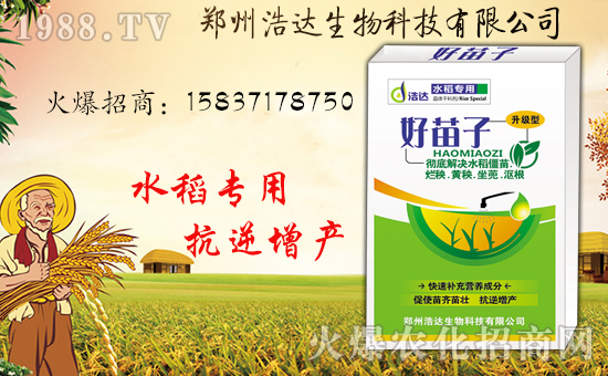 �����_�����ף������������옷�����i���������