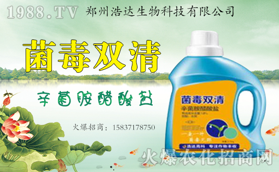 �����_�����ף������������옷�����i���������