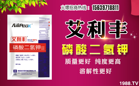 ���Խ�r�I(y��)��ף������µ�һ����ؔ�\�L�L������������