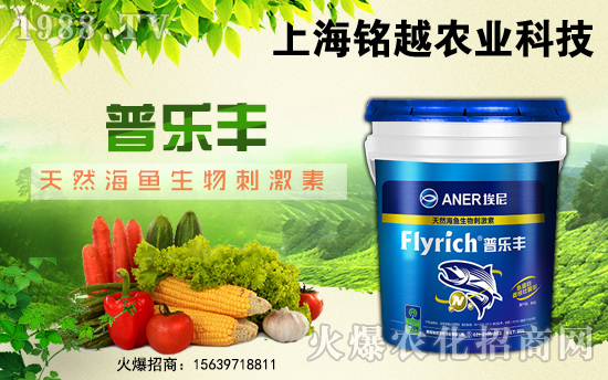 ���Խ�r�I(y��)��ף������µ�һ����ؔ�\�L�L������������