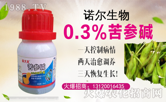 ���Z�����ȫ�w�T����ףȫ��(gu��)��(j��ng)�N(xi��o)�����w�������i�꼪����