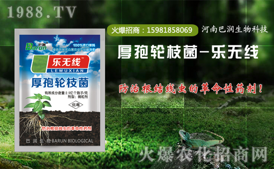 ���͝����ף������µ�һ�������w���������������