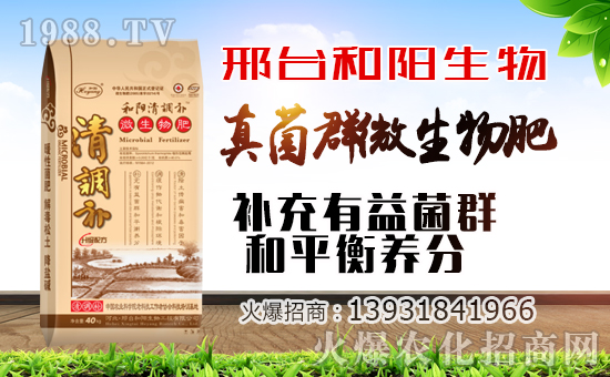 ��������ף������µ�һ�������w�������f��������