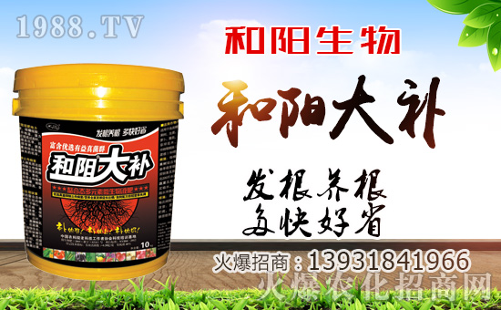 ��������ף������µ�һ�������w�������f�����⣡