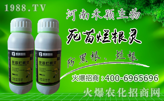 ���̷f���ף������µ�һ���������d¡���f��������