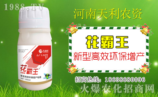 �������r�Y��ףԸһ·�������т����w�������i�꼪����