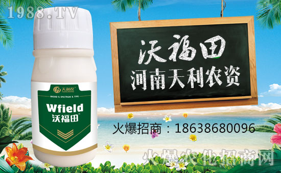 �������r�Y��ףԸһ·�������т����w�������i�꼪�飡