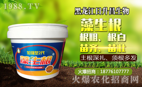     ����������������ף��������µ�һ�����_������f�����⣡