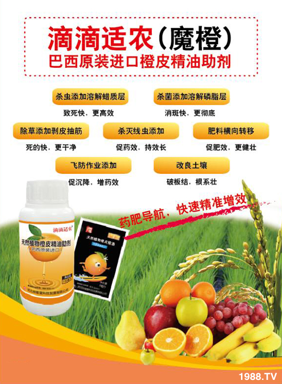 ���ӱ������á���ף������������i���д��\��