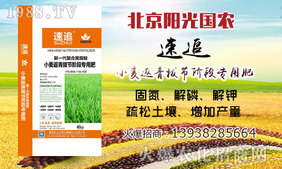     ��ꖹ��(gu��)�r(n��ng)��ף������µ�һ�������w�������H�Қg����