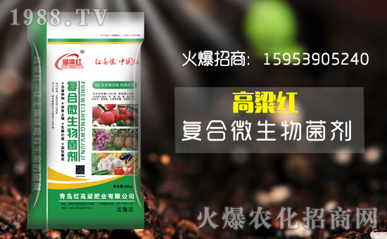 �����u�t������ף������µ�һ����ؔ(c��i)Դ�L�L����