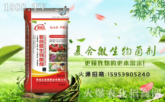 �����u�t������ף������µ�һ����ؔ(c��i)Դ�L�L����