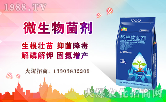 ��Ӣ��(gu��)���և�(gu��)�H��ף����µ�һ������¶����Ц�ݶ�࣡