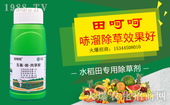 ����(gu��)�f(w��n)�ݡ���ף���Ͽ͑��i���д��\(y��n)��ؔ(c��i)Դ�L�L��(l��i)��