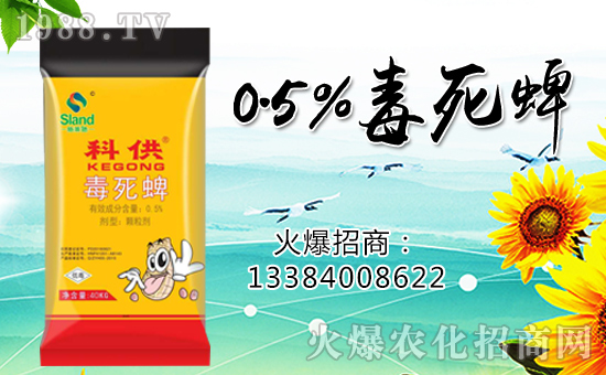 �����ɽ��r(n��ng)�I(y��)��ף������µ�һ���������³ɣ�����������