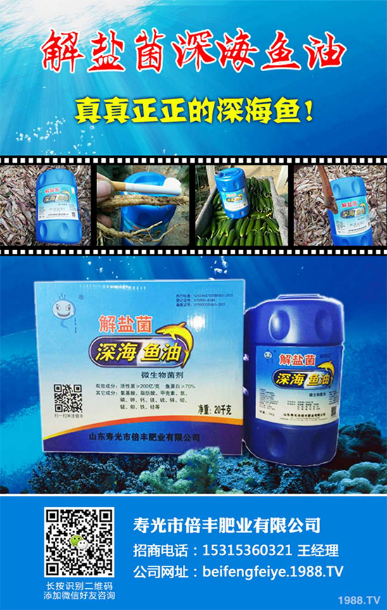 ���۹ⱶ�S�ʘI(y��)��ף��������µ�һ�����_(k��i)������f(w��n)��������