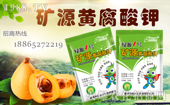 ���Ƅ�(chu��ng)�r(n��ng)�I(y��)��ȫ�w�T����ףȫ����(j��ng)�N�����w�������i���д��\(y��n)��