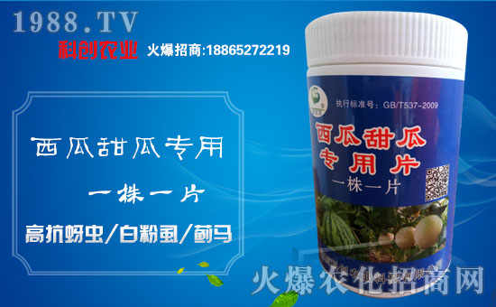 ���Ƅ�(chu��ng)�r(n��ng)�I(y��)��ȫ�w�T����ףȫ����(j��ng)�N�����w�������i���д��\(y��n)��