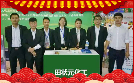 �����Ԫ������ףȫ����(j��ng)�N���i������f�����⣡