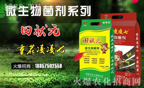 �����Ԫ������ףȫ����(j��ng)�N���i������f�����⣡