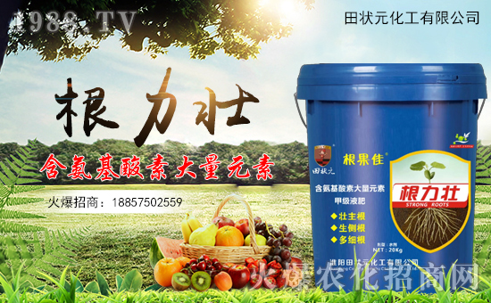 �����Ԫ������ףȫ����(j��ng)�N���i��󼪣��f��������