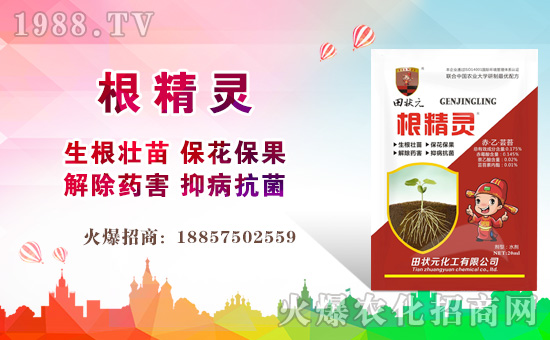 �����Ԫ������ףȫ����(j��ng)�N���i��󼪣��f��������