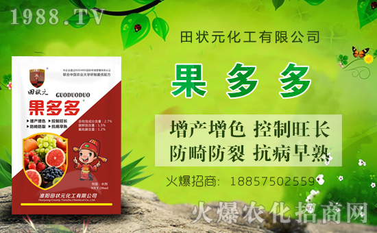 �����Ԫ������ףȫ����(j��ng)�N���i������f�����⣡