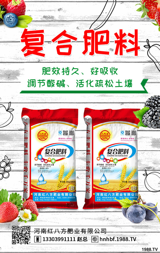 ���ȸ��؏ͺϷ�����r���������2019-10-10