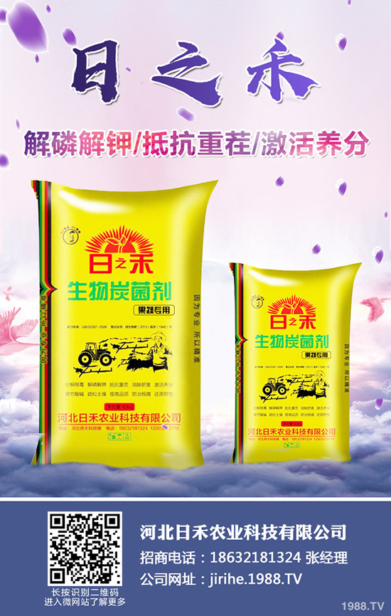 2019.10.10�Շ���(n��i)���؃r���߄ݼ��������