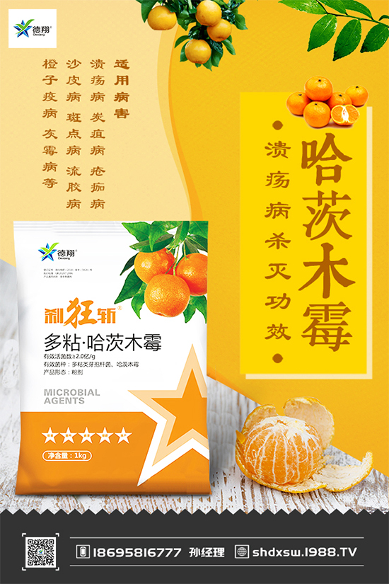 ���{�ڰ߲�Σ���@ô��������ԓ��η����������������