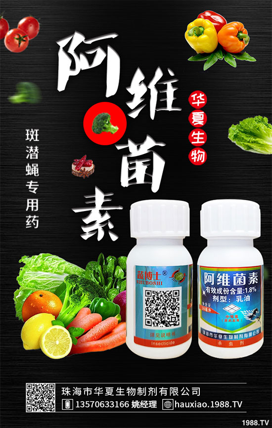 ���њ��x���r��