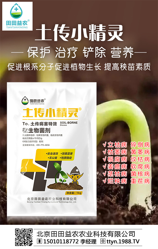 ���ՏͺϷʃr����������������A�y2019-10-12