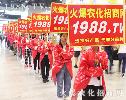     2019�Ϸ��r(n��ng)�Y���[���ϻ��r(n��ng)���W(w��ng)��Ӣ�ɳ�������(zh��n)����