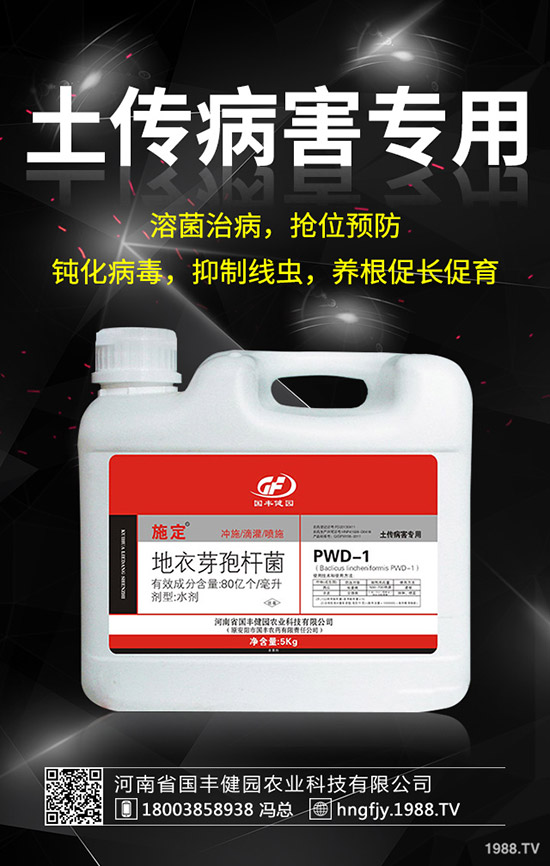 С�����݄�ʲô�r������С������݄��ĕr�g��ע�������