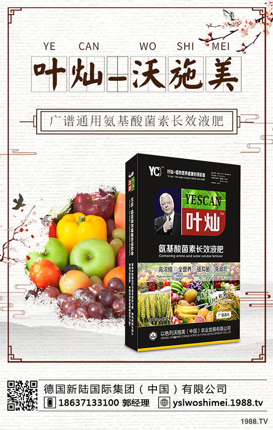 ��С����ʲô���F(xi��n)�S�������磿��С���S�磬������δ�ʩ��