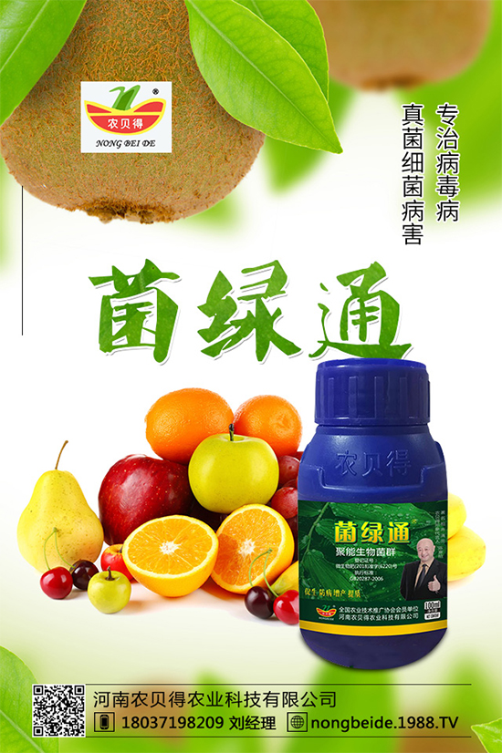 小麥如何正確選種?不知道如何選種的看這里!