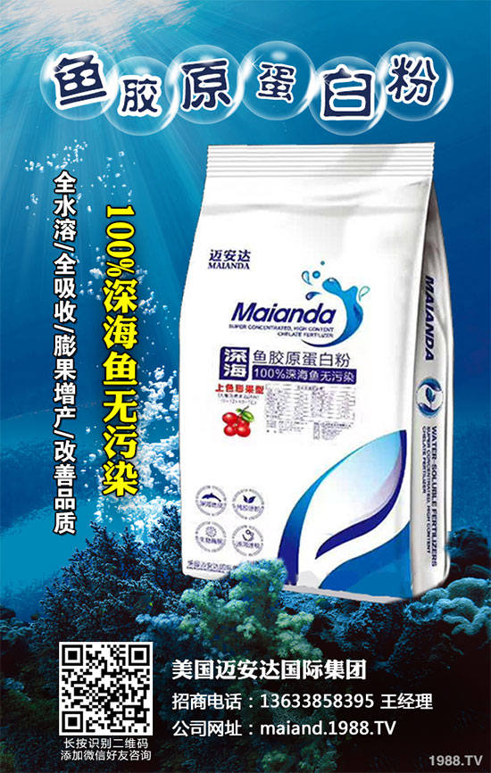 白菜病毒病危害巨大,到底該怎么辦?白菜病毒病及其防治圖譜