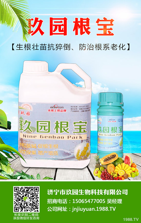 �������x��η����������x��Σ�����l(f��)��Ҏ(gu��)����