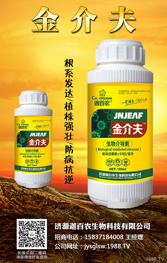 ���������o��������ô�k�������o���������\���c���Σ�