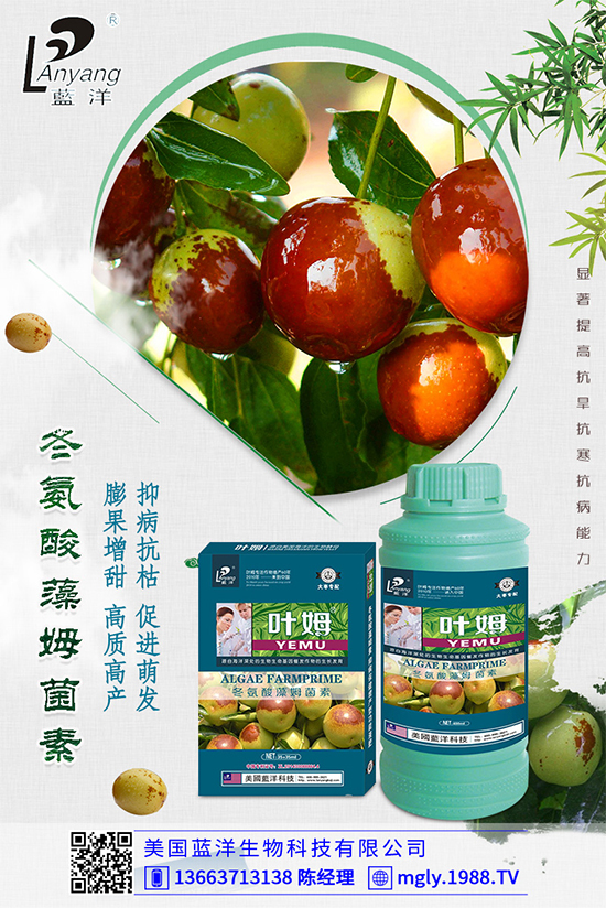 �ײ�ܛ��������������������ЩΣ�����ײ�ܛ�����İl(f��)���c����