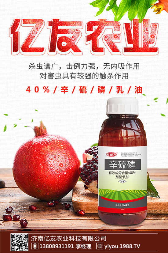 �D÷�N����ô�N���D÷�N�ӷNֲ������