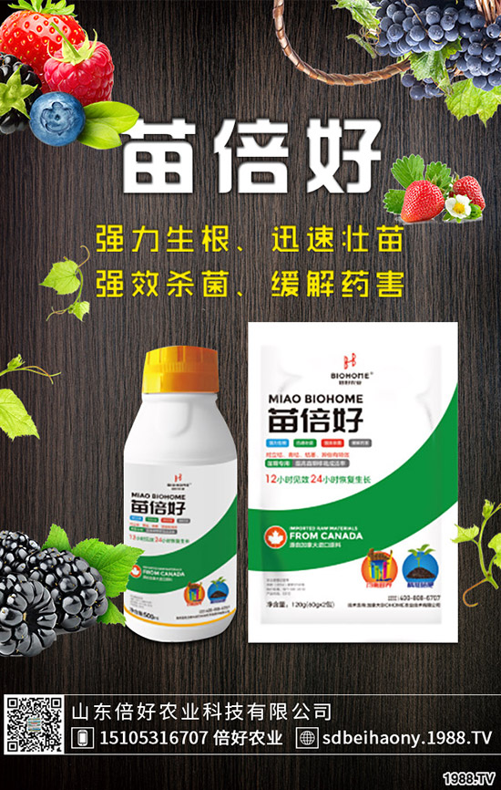 С�����N�󲻳����������ԭ����������С��������?