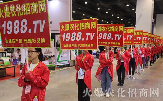 ǧ�̅R�ۣ���Ʒ�Ƽ�|2019�����r(n��ng)����(hu��)ʢ���_Ļ��