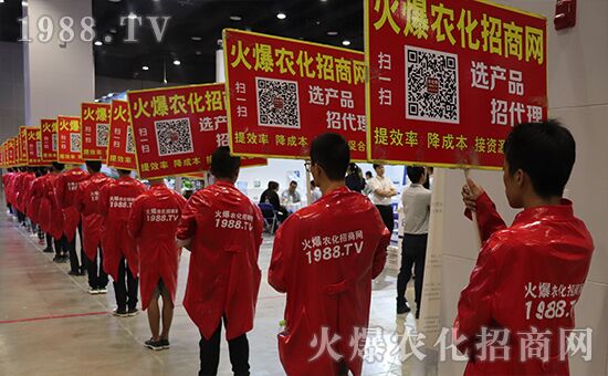 ǧ�̅R������Ʒ�Ƽ�|2019�����r(n��ng)����(hu��)ʢ���_Ļ��